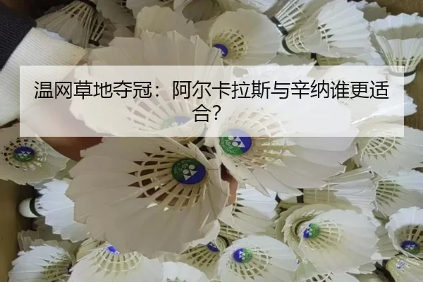温网草地夺冠：阿尔卡拉斯与辛纳谁更适合？